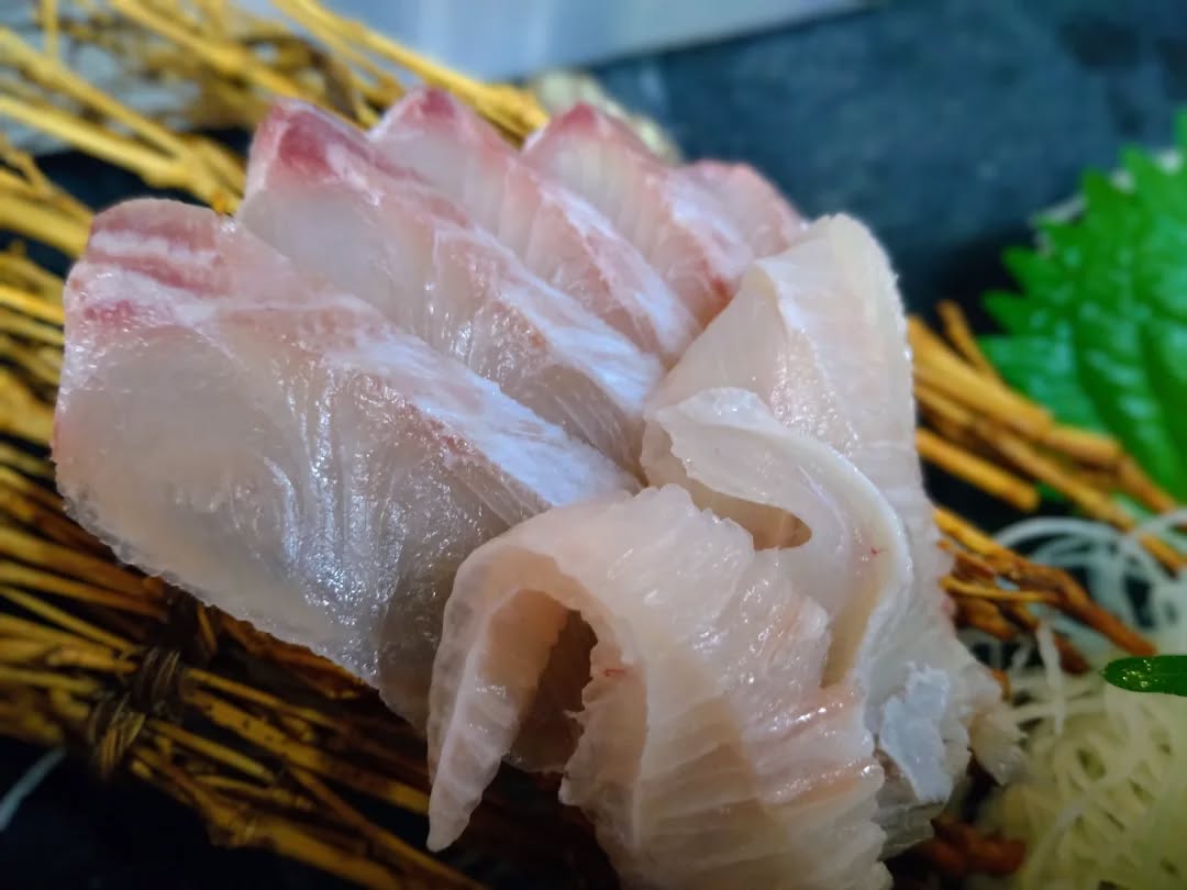 『温盛の台所えんがわ』

〜おすすめ鮮魚刺し〜

長崎産　【ツバメウオ】
非常にまれなお魚!
入荷がかなり少ない魚
この機会に是非いかがでしょうか♪
身は締まっていて食感が心地よい。
甘味、うま味も豊かで非常においしいですよ〜

是非〜

うまうま〜

#カフェ巡り　にハマる #