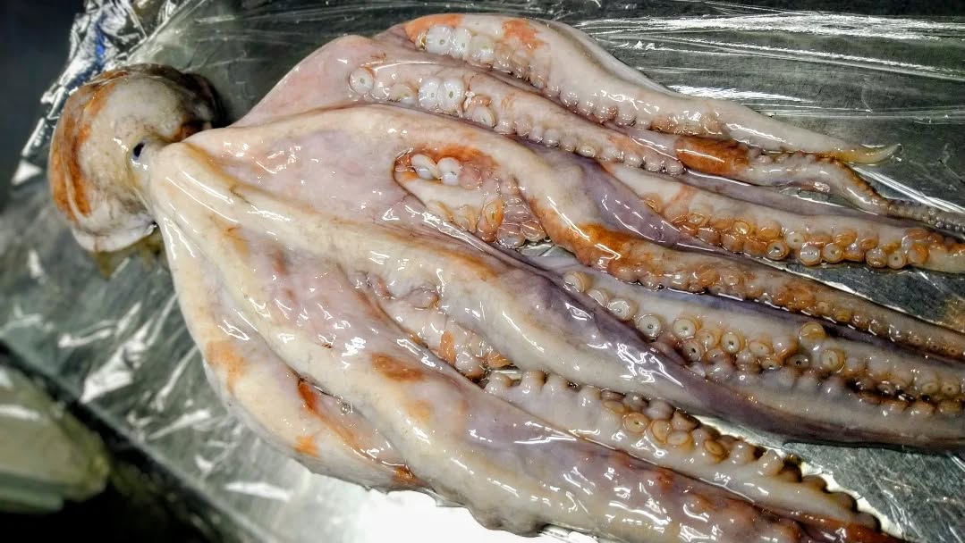 『温盛の台所えんがわ』
〜今宵のおすすめ〜
北海道産 ヤナギダコ
4キロのタコ入荷しました〜
足が細長く柳のように見えることから
名付けられ
柔らかい身と噛むほどに広がる上品な甘み
旨味が特徴です
特に冬から春にかけて旬を迎え、
栄養価も高いヘルシー
是非〜
うまうま〜
#カフェ巡り にハマる ##