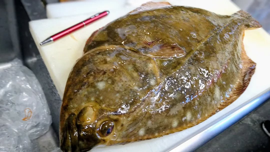 『温盛の台所えんがわ』
〜おすすめ鮮魚紹介〜
【北海道産 イシガレイ】
3.8キロのイシガレイです!
北海道が大雪で届くか不安でしたが
入荷出来ました
大きい魚体なので旨味バツグンです!
【高知産 米米真鯛】
2.8キロの真鯛です!
養殖でお米を餌に育てられたので
甘みがあり食べやすいです
是非〜
うまうま〜
#カフェ巡り にハマる #